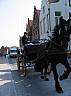 IMG_6541.JPG