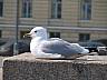 IMG_5482.JPG
