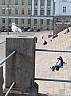IMG_5485.JPG