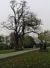 IMG_6497.JPG