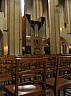 IMG_5551.JPG