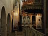IMG_5580.JPG
