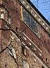 IMG_5610.JPG